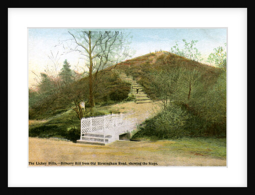The Lickey Hills by Anonymous