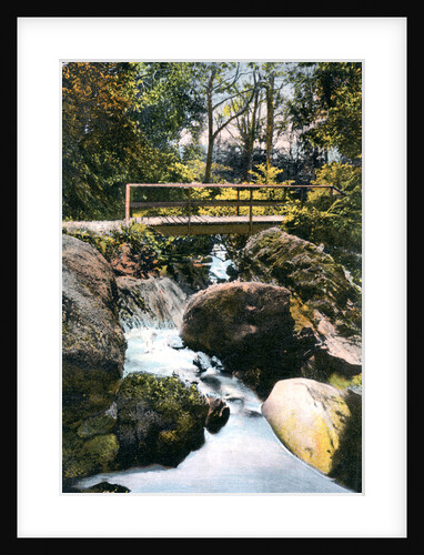 Glen Morag, Dunoon by Anonymous