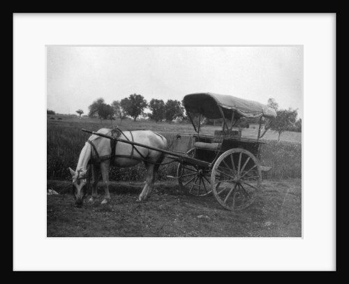 Tonga (horse cart), Muttra, India by Anonymous