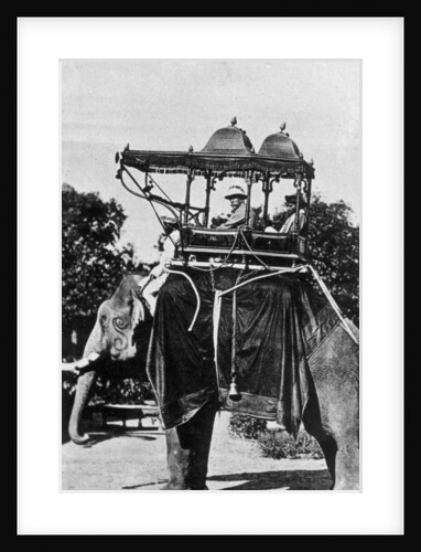 Baroda state elephant, India by Anonymous