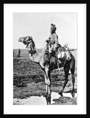 Camel cavalry transport, India by Anonymous