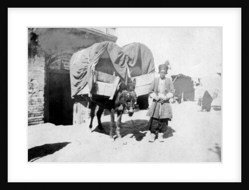 Persian donkey transport, Baghdad, Iraq by Anonymous