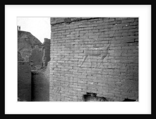 Relief on the Ishtar Gate, Babylon by Anonymous