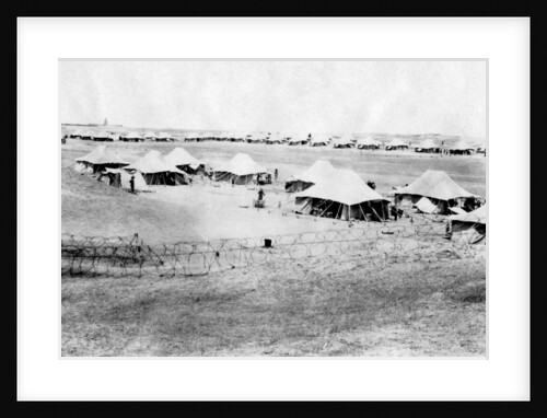 1/5 RWR battalion camp, Samarra, Mesopotamia by Anonymous