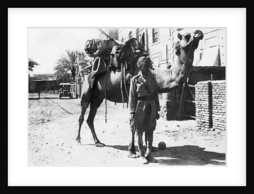 Indian camel trooper, Baghdad by Anonymous