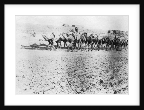Camel train, Mosul, Mesopotamia by Anonymous