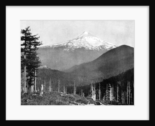Mount Hood, Oregon, USA by John L Stoddard