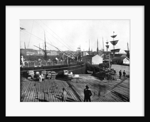 Harbour of Auckland, New Zealand by John L Stoddard
