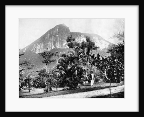 Botanical Gardens and Mount Corcovado, Rio De Janeiro, Brazil by John L Stoddard