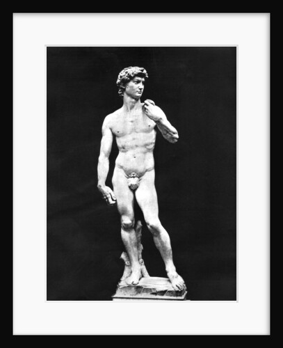 Statue of David, Florence, Italy by John L Stoddard