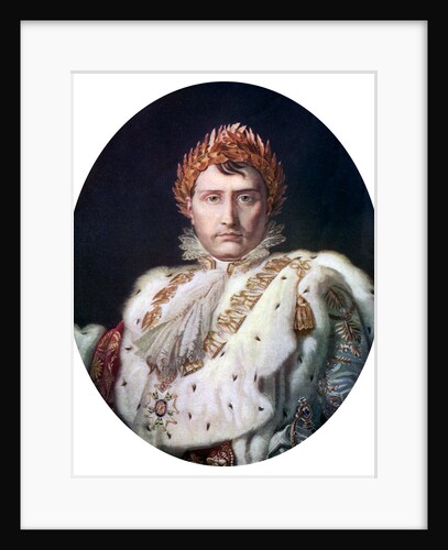 Napoleon I in his coronation robe by Anonymous