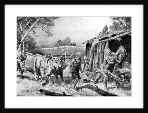 Building a tribal homestead by A Holloway