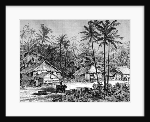 Negritos, Malaysia by Dosso