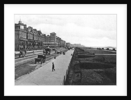 The lawns, Hove by Anonymous