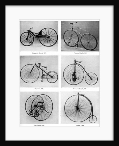 The evolution of the bicycle by Anonymous