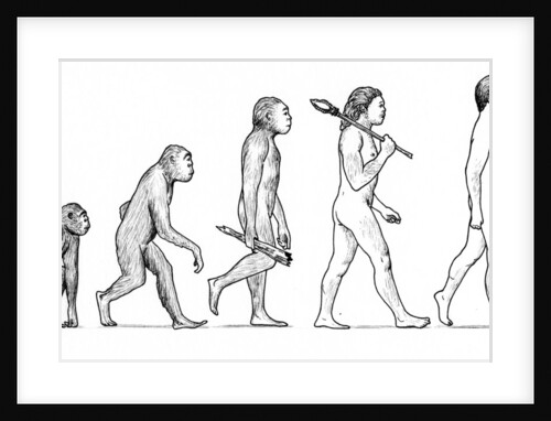 Evolution of Man by Karen Humpage