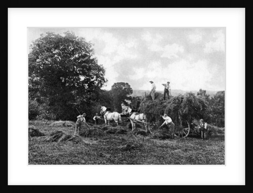 Haymaking by Sprague & Co