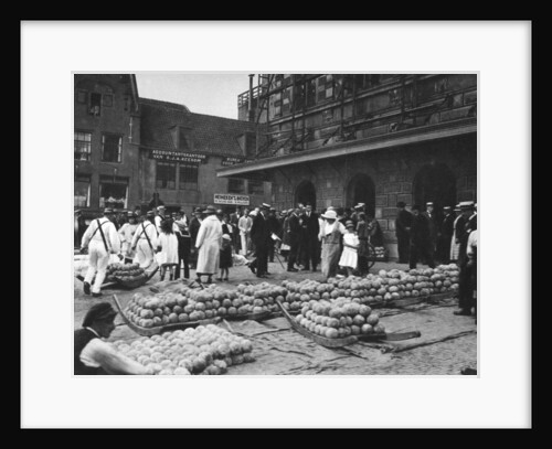 The cheese market on Friday, Alkmaar, Netherlands by Anonymous