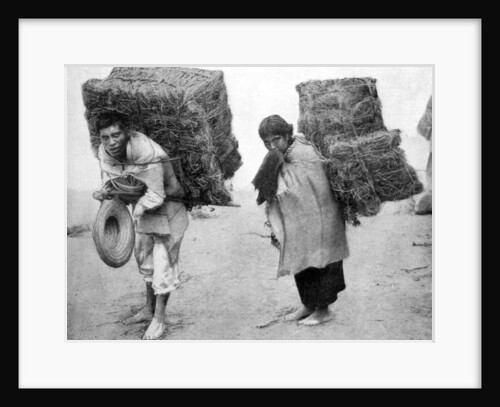 Natives of Mexico by Anonymous