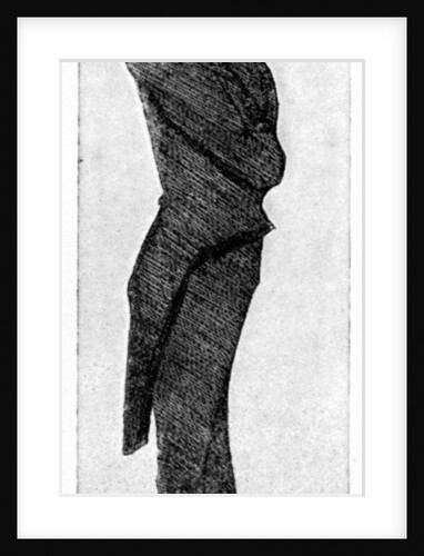 The Gentle Elia by Rischgitz Collection