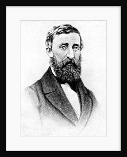 Henry David Thoreau, American nature writer by Rischgitz Collection