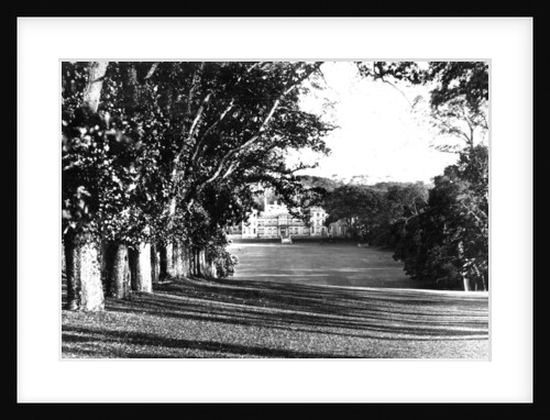 Mount Edgcumbe by Anonymous