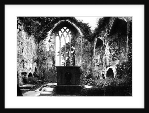 Muckross Abbey, Killarney by Anonymous