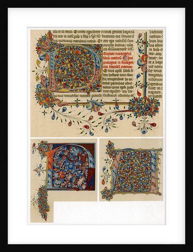 Illuminated initial letters by Anonymous