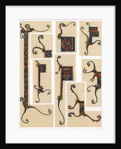 Illuminated initial letters by Anonymous