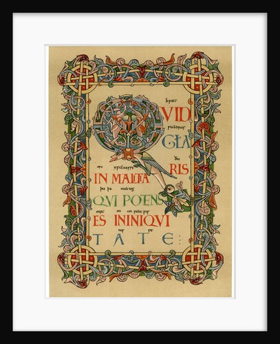 Illuminated initial 'Q' by Anonymous