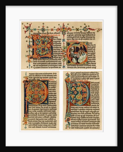 Text page with illuminated initial letters by Anonymous