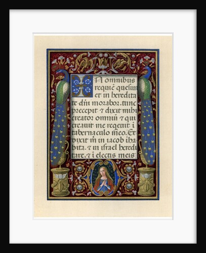 Text page with the Virgin and two peacocks by Anonymous
