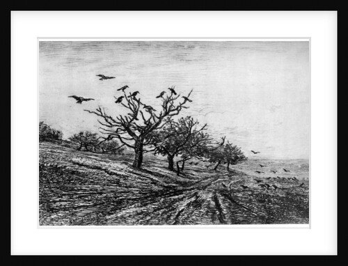 Arbre a Corbeaux by Charles François Daubigny
