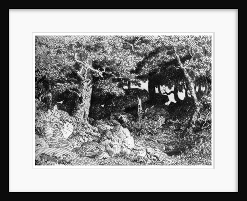 'Les Chenes de Roche', c1832- 1860 by Theodore Rousseau