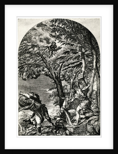 Martydom of St Peter Martyr by Martino Rota