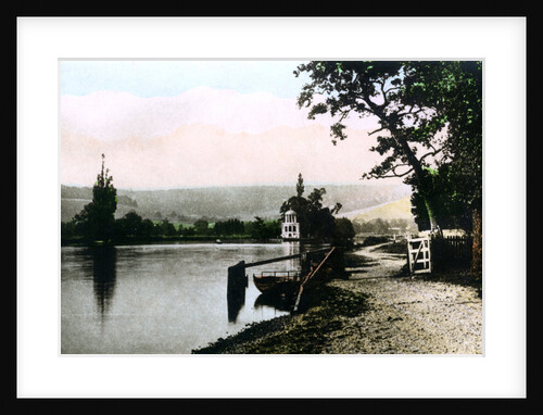 Henley Regatta Island by Cavenders Ltd