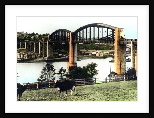 The Royal Albert Bridge, Saltash, Cornwall by Cavenders Ltd