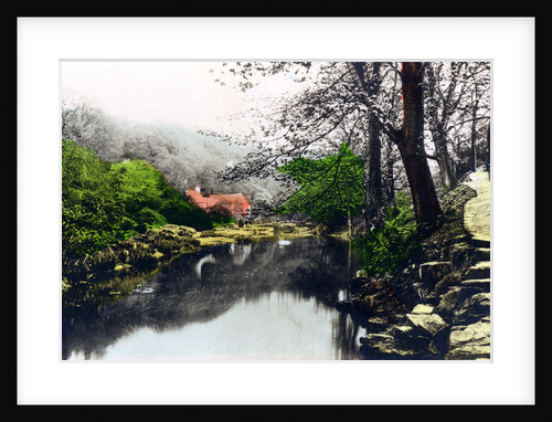 Jesmond Dene, Newcastle-upon-Tyne, Tyne & Wear by Cavenders Ltd