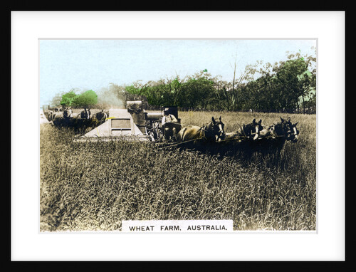 Grenfell wheat farm, Australia by Cavenders Ltd