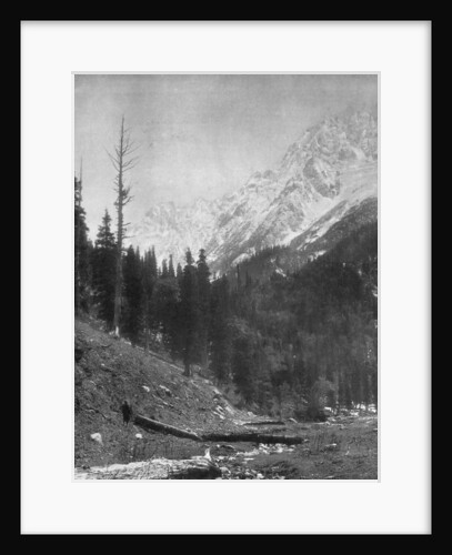 Sindh Valley glaciers, Kashmir, India by F Bremner