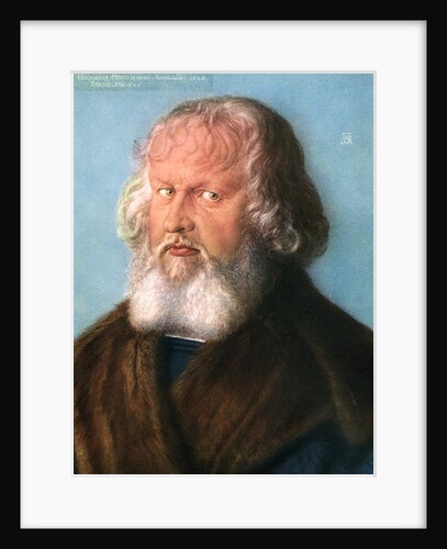 Hieronymus Holzschuher by Albrecht Dürer