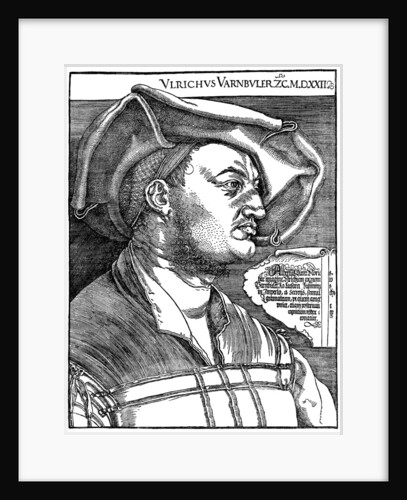 Ulrich Varnbüler by Albrecht Dürer