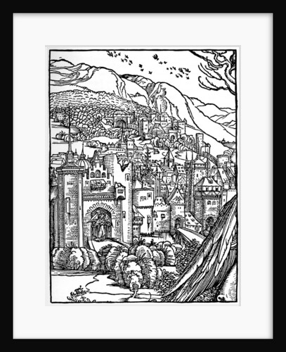 Landscape by Albrecht Dürer