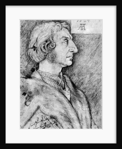 Ulrich Starck by Albrecht Dürer