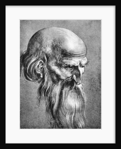 Apostle by Albrecht Dürer