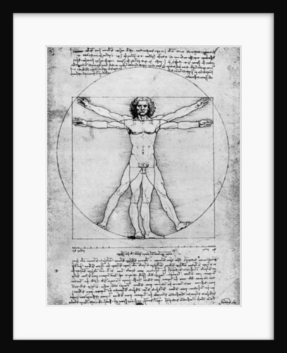 Proportions of the human figure by Albrecht Dürer