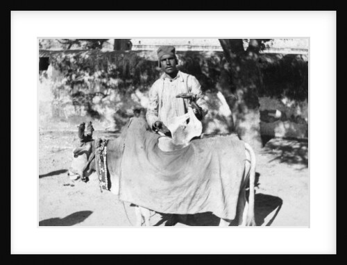 Man with a deformed cow, India by Anonymous