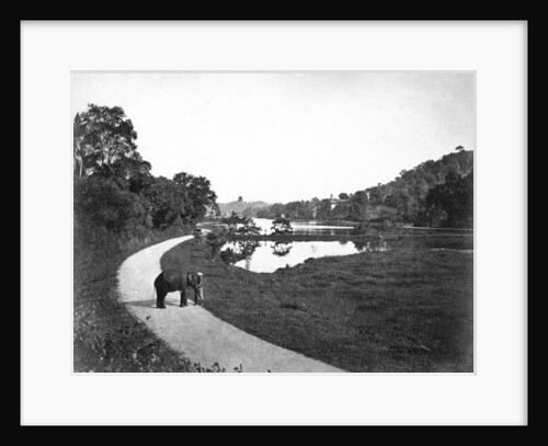 Kandy Lake, Kandy, Sri Lanka by Anonymous