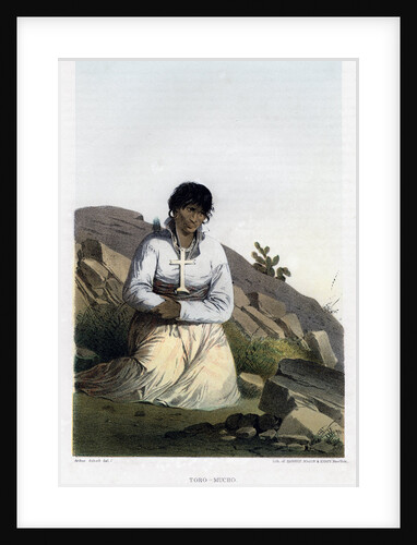 Toro-Mucho, chief of a band of Kioways by John Mix Stanley