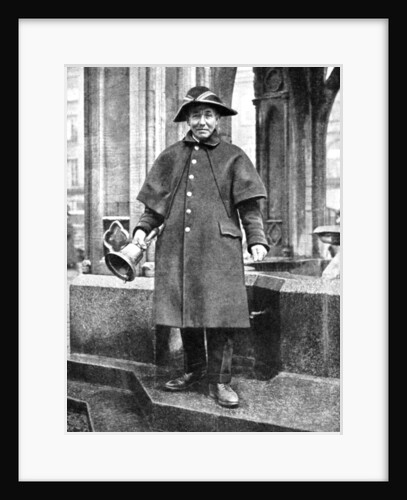 Town crier, Cambridge, England by Donald McLeish